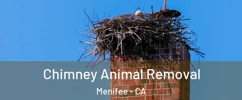  Chimney Animal Removal Menifee - CA