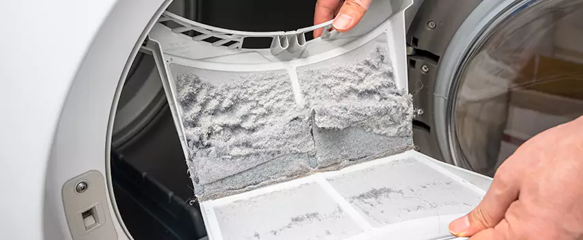 Best Dryer Lint Removal Company in Menifee, California