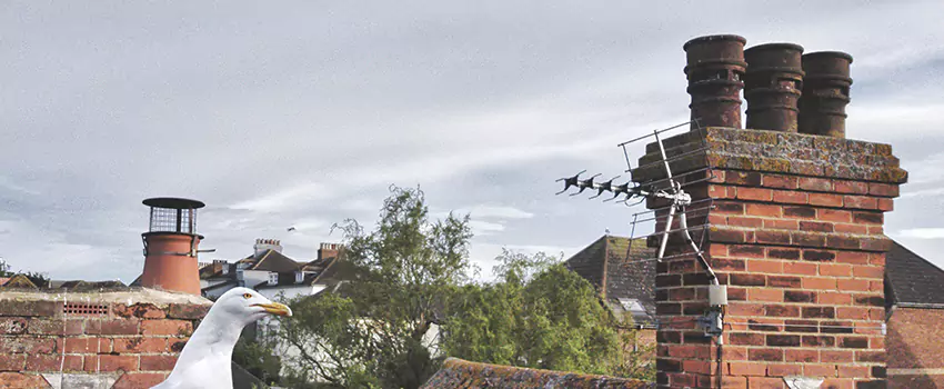 Chimney Cleaning And Restoration in Menifee, California