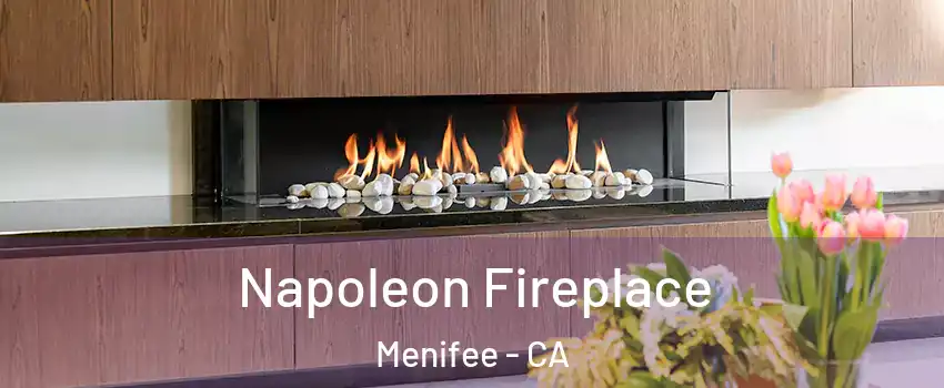  Napoleon Fireplace Menifee - CA
